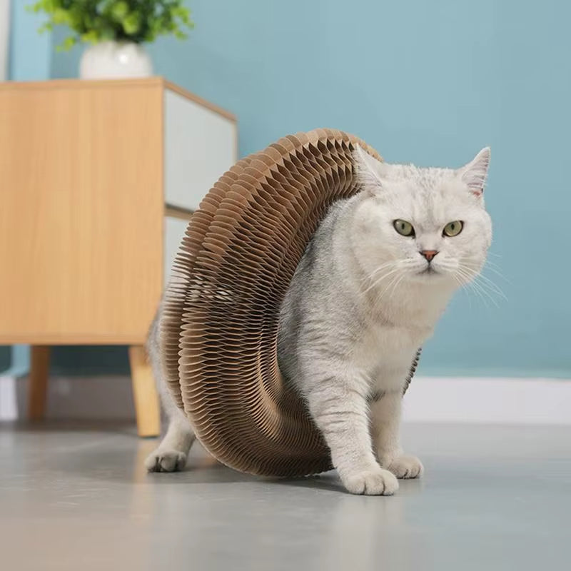 Cardboard Cat Toy Foldable Cat Scratch Board with Ball Kitty Scratching Post Cat Ball Track Toy Cat Accordion Toy Cat Scratcher